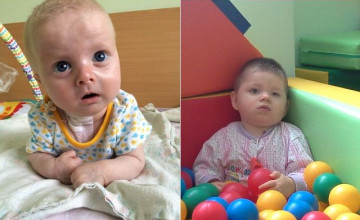Помощь Арине и Стёпе пришла всего за день